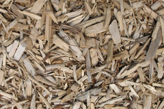 biomass boilers Dunseverick